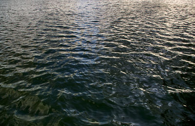Full frame shot of sea