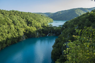 Scenic view of river in forest against sky