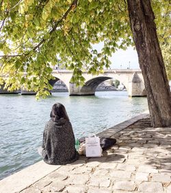 Rear view of woman sitting on bridge over river