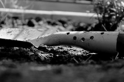 Close-up of rusty pipe