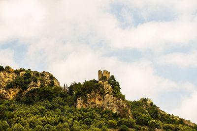 Low angle view of trees and mountain against sky