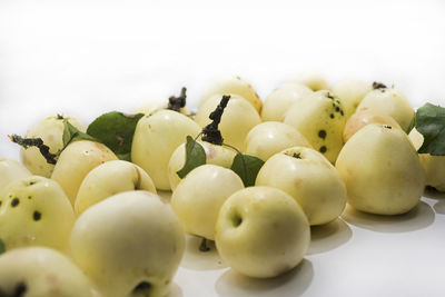 Close-up of fruits in plate