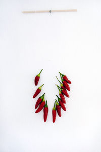 Close-up of red chili pepper against white background