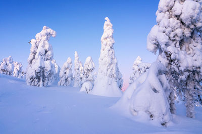 Snow covered mountain against sky