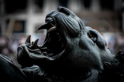 Close-up of statue