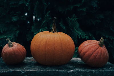 Close-up of wet pumpkins on table