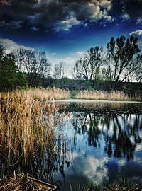 Reflection of clouds in lake