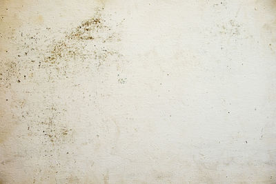 Full frame shot of tiled floor