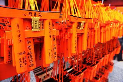 Torii gates at shrine