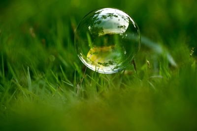 Close-up of crystal ball on field