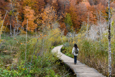 Girl on wooden footpath in forest in autumn