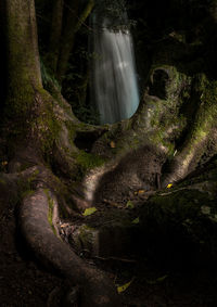 View of waterfall in forest