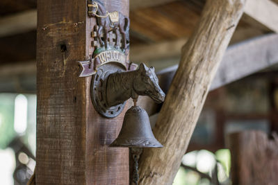 Low angle view of animal representation on wood