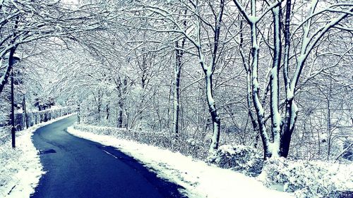 Snow covered landscape