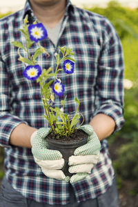 Midsection of man holding flower pot at community garden