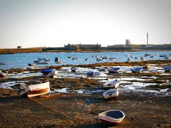 Boats moored at harbor against clear sky