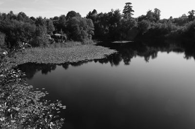 Scenic view of lake by trees against sky