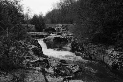 Scenic view of waterfall in forest against sky