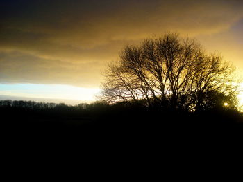 Silhouette trees against sky during sunset