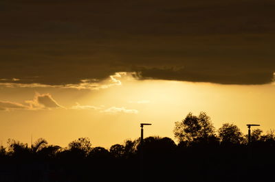 Low angle view of silhouette trees against sky