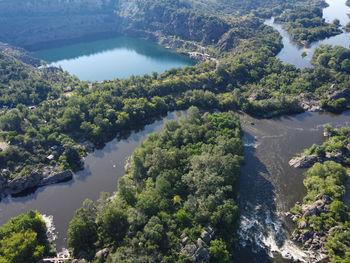 High angle view of river amidst trees in forest