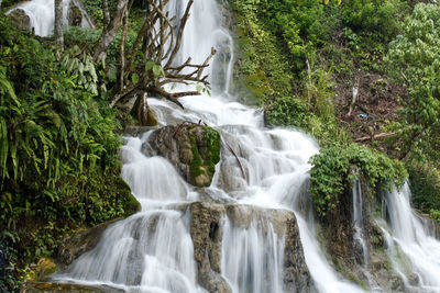 Scenic view of waterfall in forest