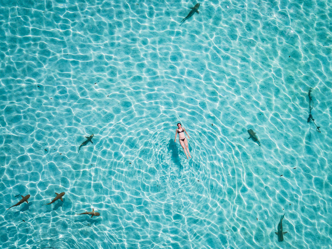 water, pool, high angle view, swimming pool, one person, nature, rippled, swimming, leisure activity, day, waterfront, lifestyles, sunlight, refreshment, vacations, adult, trip, outdoors