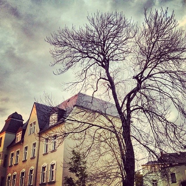 building exterior, bare tree, architecture, built structure, tree, branch, sky, low angle view, city, residential building, residential structure, cloud - sky, house, building, outdoors, cloud, cloudy, no people, day, nature