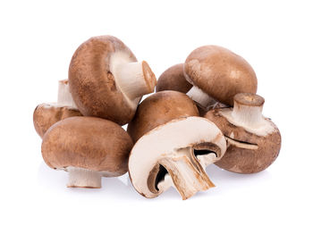 Close-up of mushrooms on white background