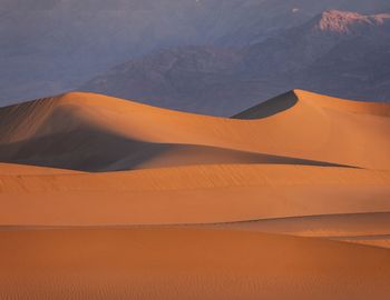 Scenic view of desert