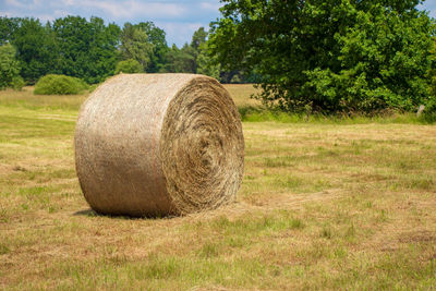 Hay bales on field against trees