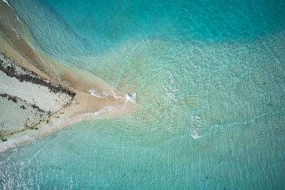 High angle view of woman swimming in pool