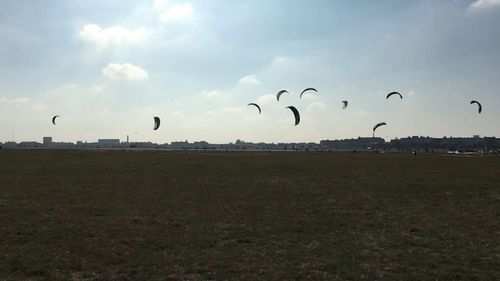 Bird flying over the sky