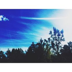 Low angle view of trees against cloudy sky