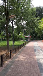 Street amidst trees in park