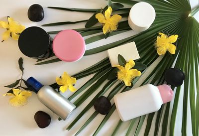 High angle view of various flowers on table