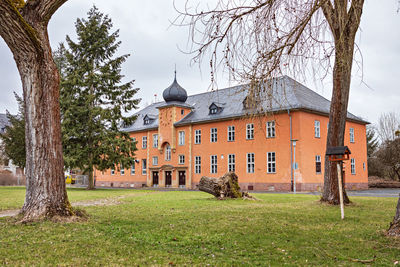 Trees in park