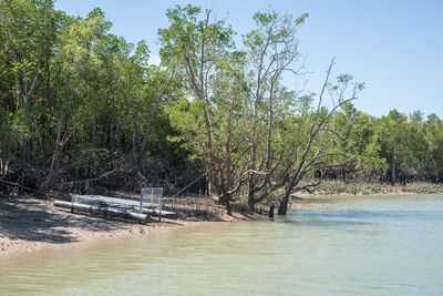 Scenic view of river amidst trees in forest against sky