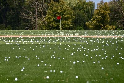 Close-up of golf course against trees