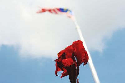 Low angle view of red rose against sky