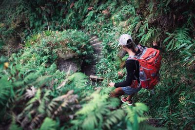 Man working in forest