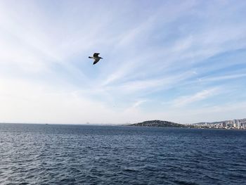 Bird flying over sea against sky