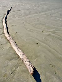 High angle view of driftwood on beach