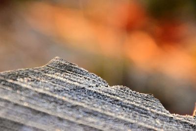 Detail shot of metallic structure