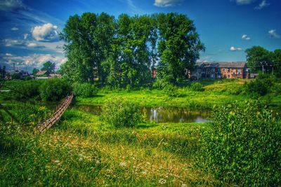 Scenic view of grassy field against sky
