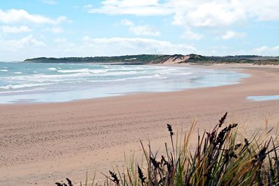 Scenic view of beach against sky