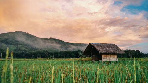 Barn on field against sky