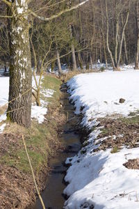 Scenic view of river amidst trees during winter