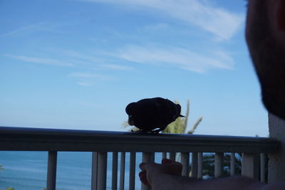 Man and railing by sea against sky