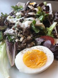 Close-up of meal served in plate